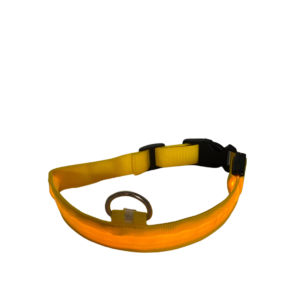 Collar Led Naranja